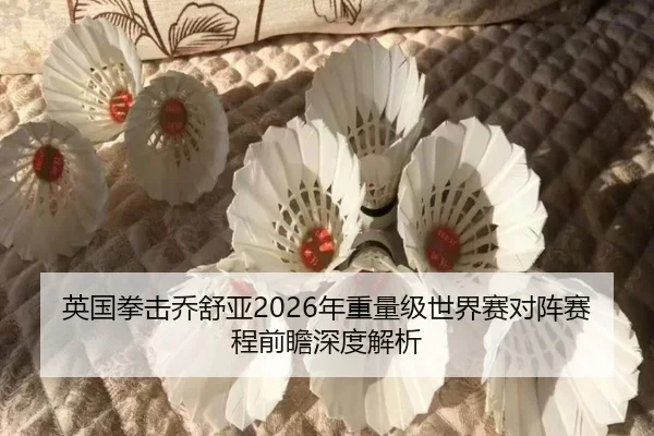英国拳击乔舒亚2026年重量级世界赛对阵赛程前瞻深度解析
